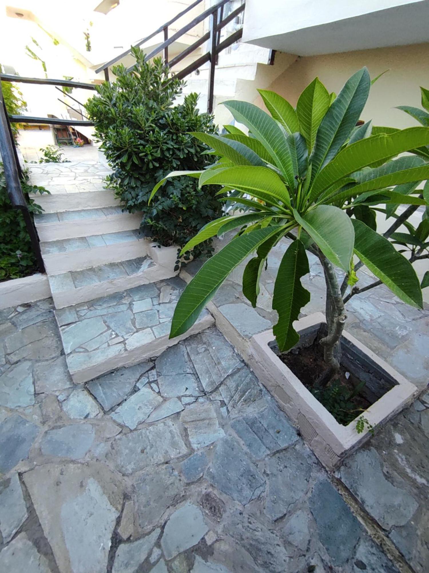Dedalos N3 Sea View Apartment-30 Metres From The Beach Sztalída Kültér fotó